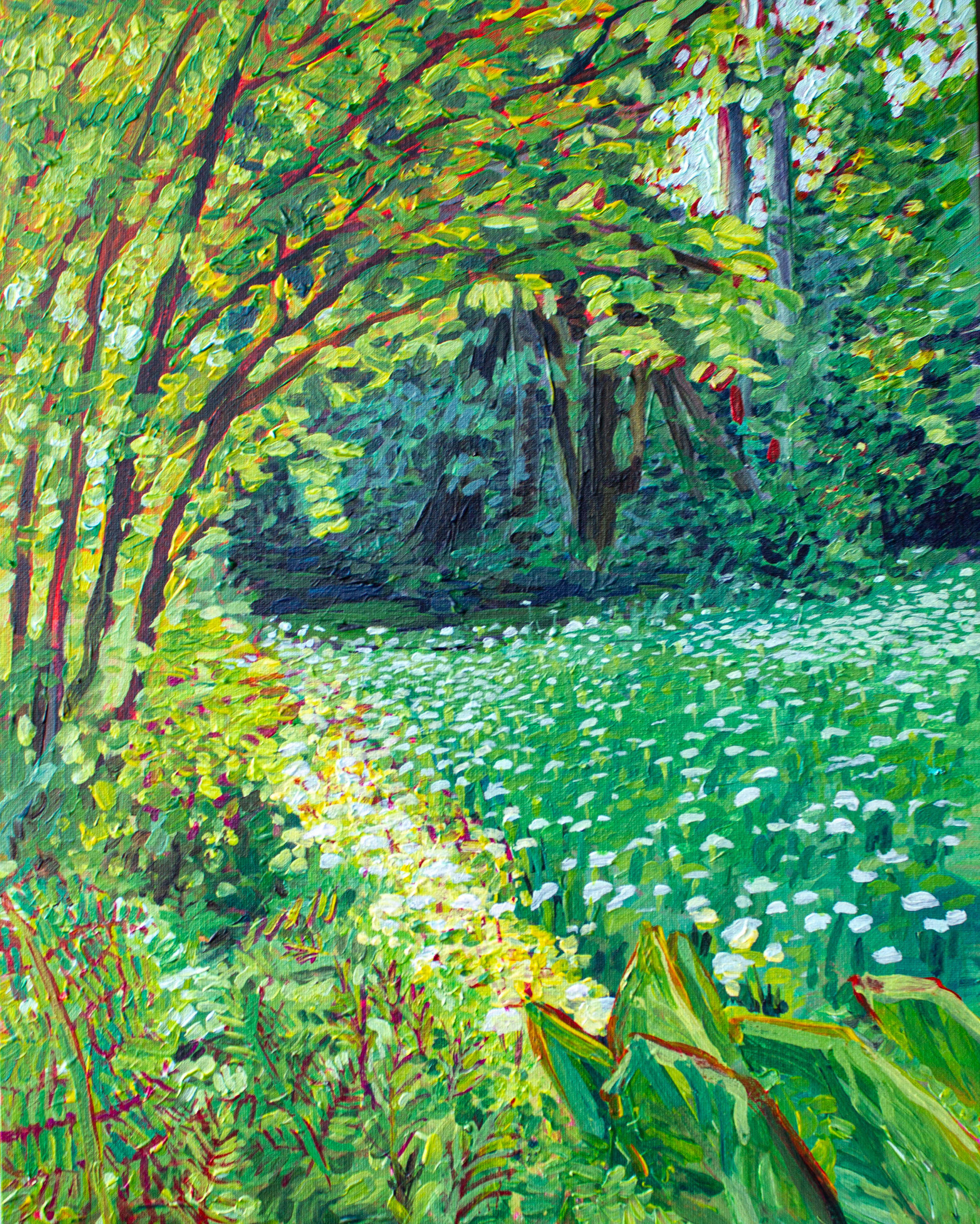 Bellevue Boatnical Garden - Painting of the Bellevue Botanical Garden, I really like this one as it features the Sun peaking through thre tree with the lovely shaded white flower field., Acrylic